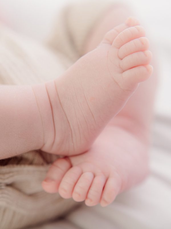 DSC_8756-Modifier-copie